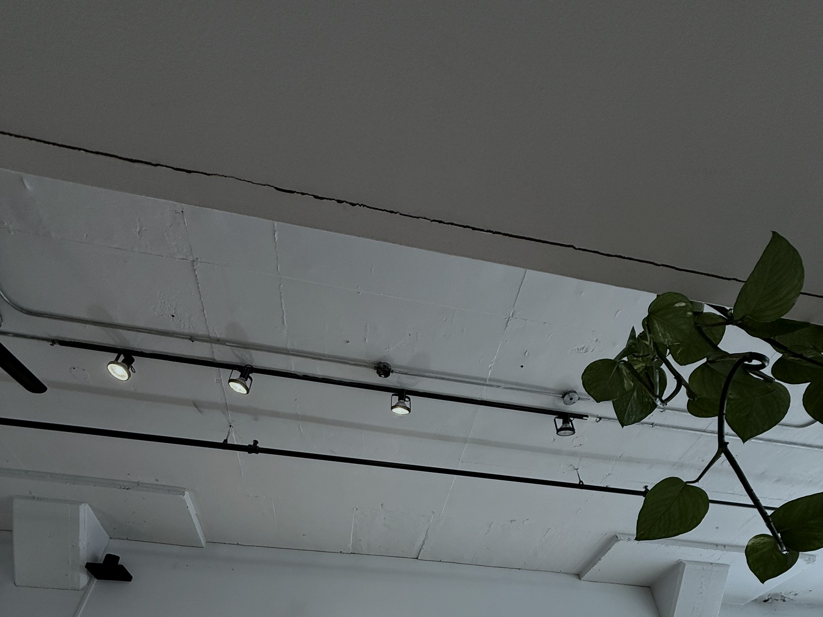 LAB 101 detail